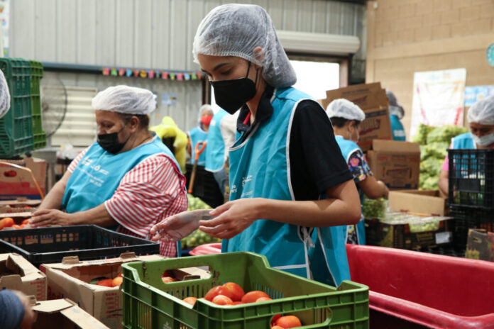 Rescate-de-alimento-1024x683-1