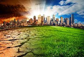 Las empresas no están totalmente preparadas para los riesgos climáticos extremos: FM