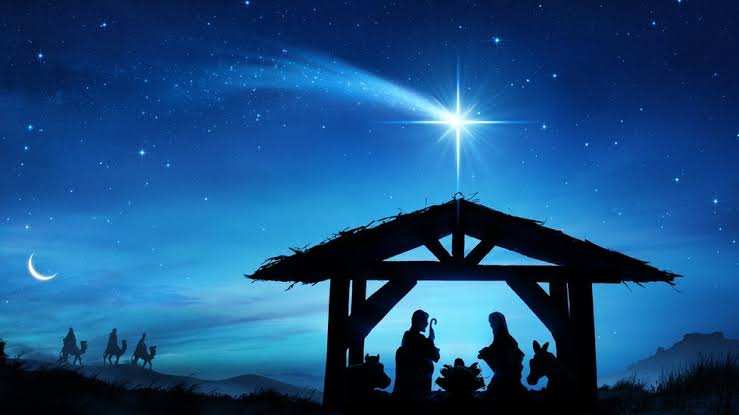 Navidad / Por Ceiba
