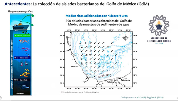 Descubren microorganismo que degrada en 15 días el plástico