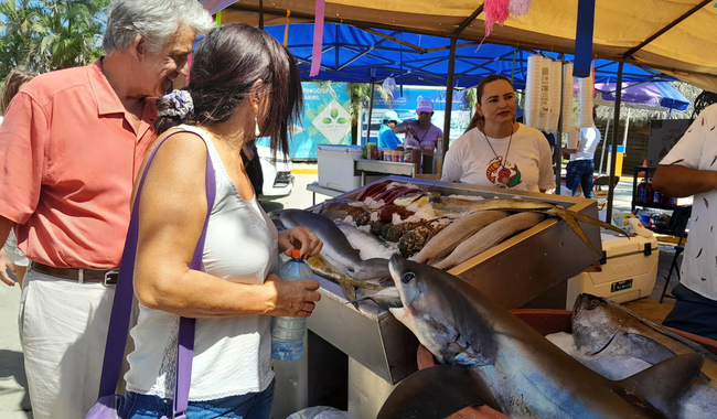 En febrero inicia periodo de veda para siete especies marinas en 10 estados / Por Alicia Valverde