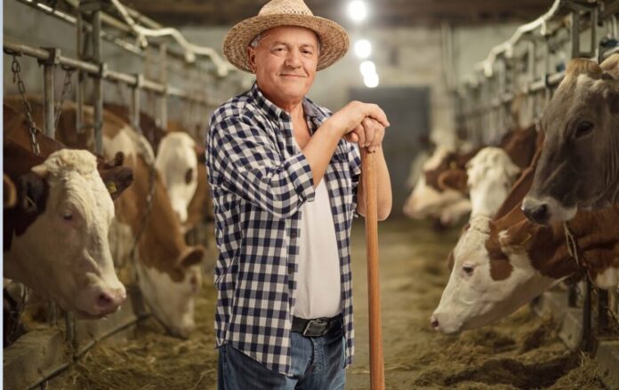 00-GANADO-VACUNO-VACAS-BOVINO-CAMPESINO-1024x646-1