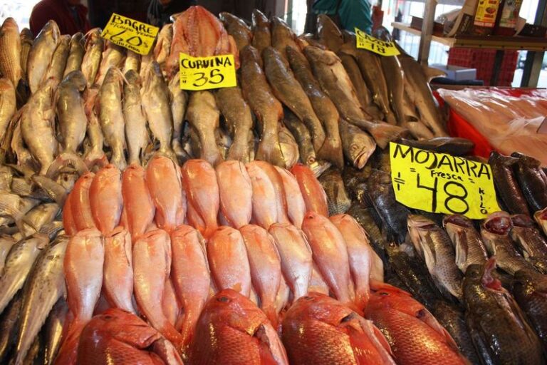 Invita Sader a consumir productos locales del mar y del campo durante la temporada de Cuaresma / Por Alicia Valverde  