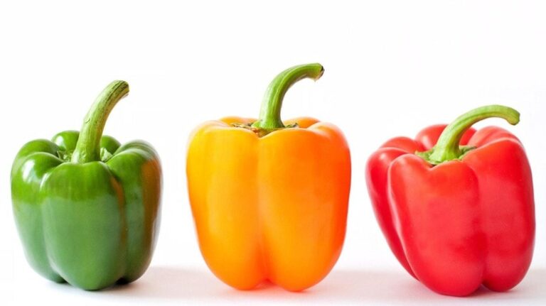 Envía México primer embarque chile morrón a Japón; también se espera exportar otros chiles y mango: CNA / Por Alicia Valverde