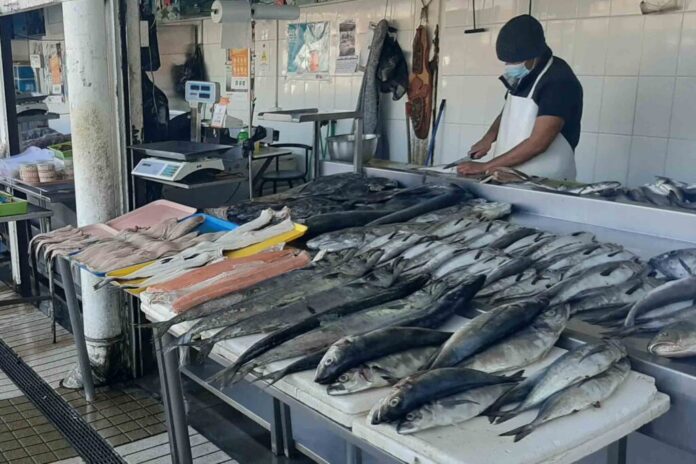 PESCADOS-1024x683-1