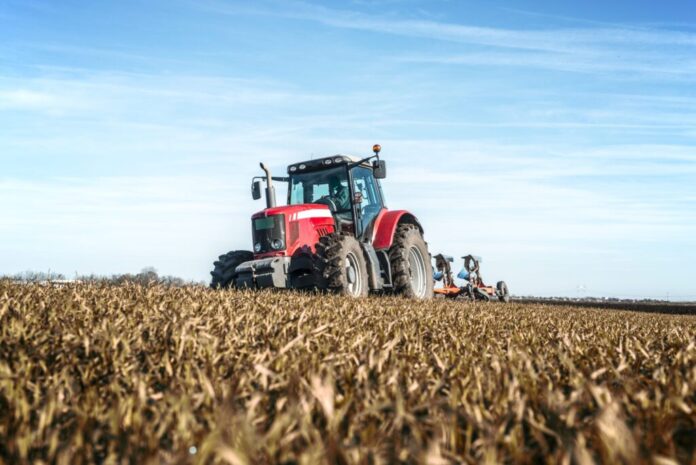 campo-1024x684-1