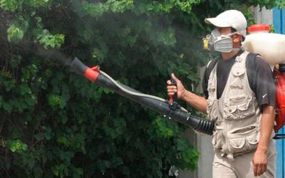 Fortalece Querétaro acciones contra dengue y chikungunya