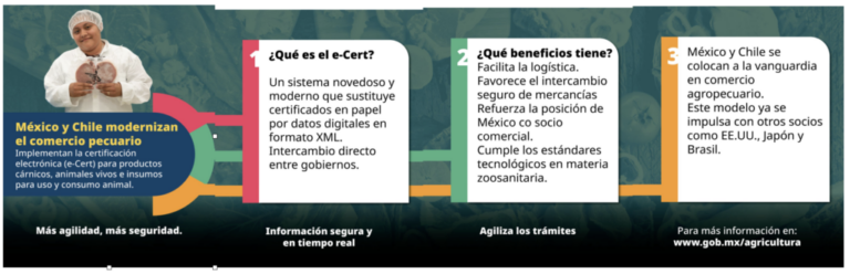 México y Chile implementan certificación electrónica para productos cárnicos / Por Alicia Valverde