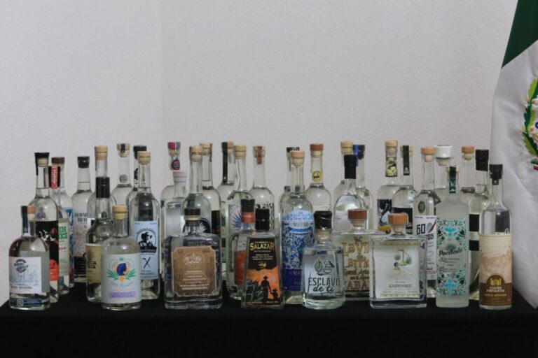 Con 91 distinciones, Puebla se posiciona a nivel nacional como líder en marcas de mezcal