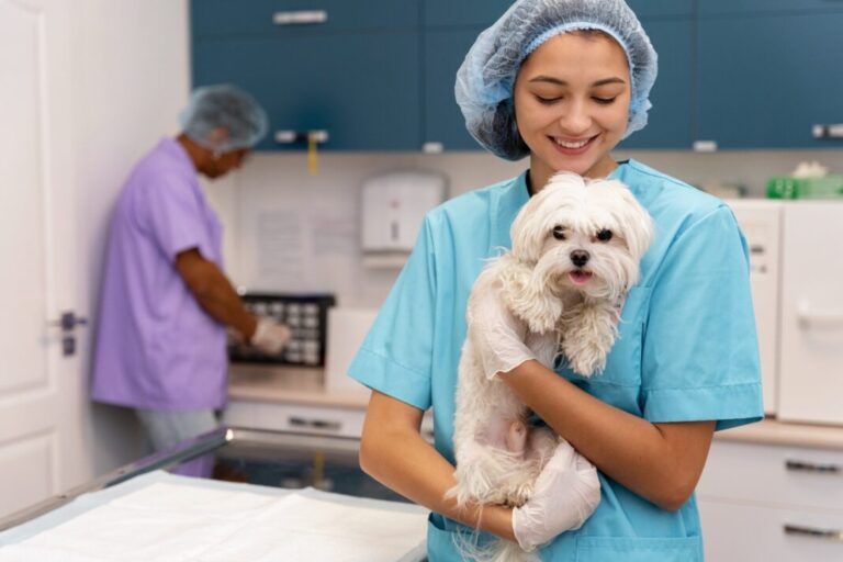 Tan solo el 42% de las mascotas con hogar en México son llevadas al veterinario una o dos veces al año