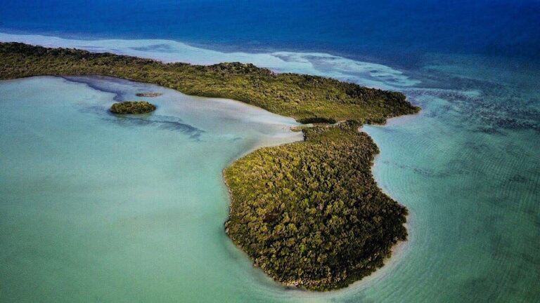 Tamalcab, el secreto mejor guardado de Chetumal, Quintana Roo