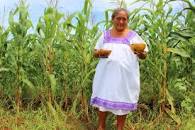 Llama CNA a privilegiar el diálogo para dar certidumbre de largo plazo al campo mexicano / Por Alicia Valverde