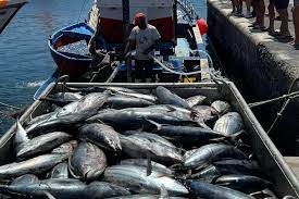 Firman Conapesca y TcNM acuerdo para impulsar el desarrollo de la pesca y la acuacultura / Por Alicia Valverde
