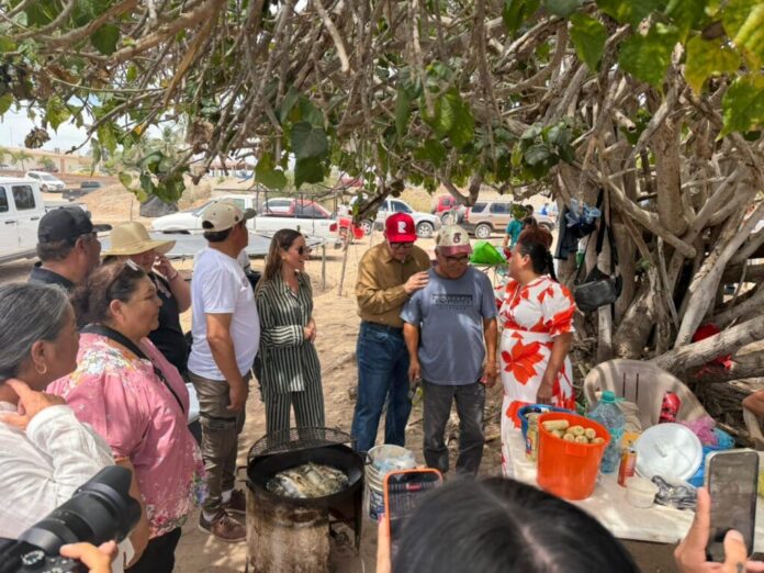 sinaloa-aaada-1024x768-1
