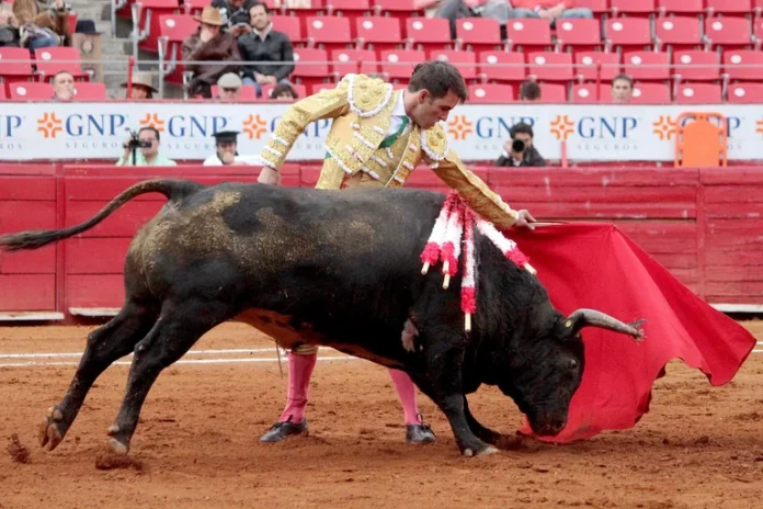 toros1