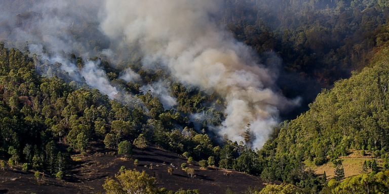 Registra Jalisco la menor afectación por incendios forestales de los últimos seis años