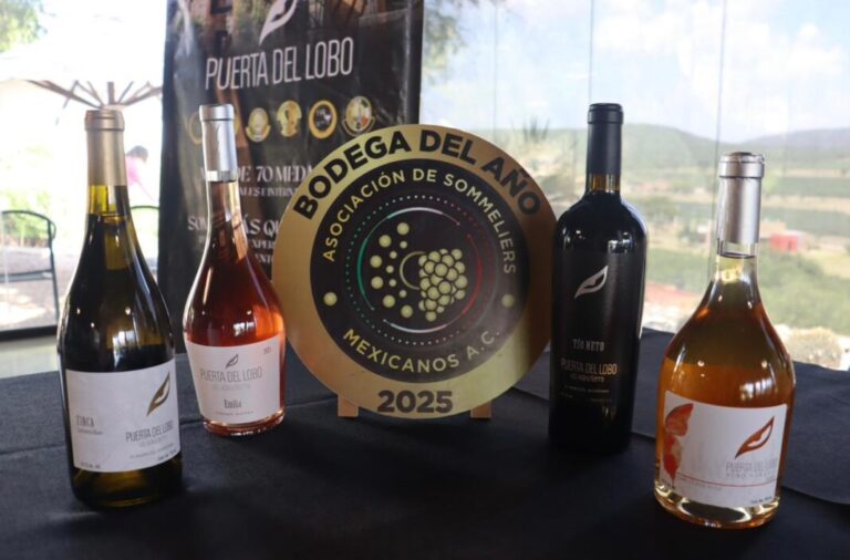 Anuncian en Querétaro la Vendimia Blanco y Tinto 2026 del viñedo Puerta del Lobo