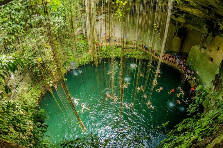 Yucatán consolida alianza internacional para proteger selvas, manglares y cenotes