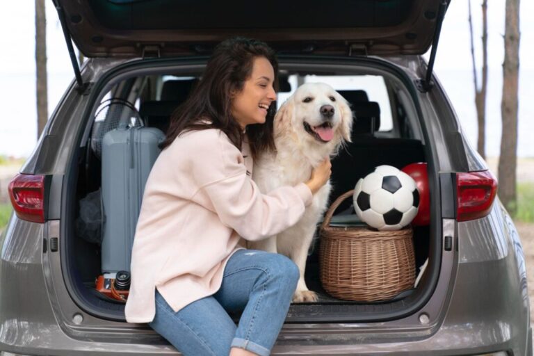 Viajar con mascotas crecerá rumbo al evento de fútbol más importante del mundo, pero 42% teme por su bienestar