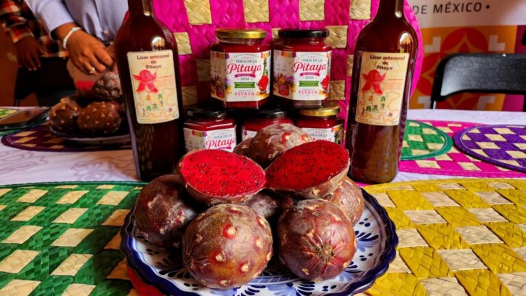 Promueve Turismo “Feria de la Pitaya y Pitahaya” de Huitziltepec, Puebla