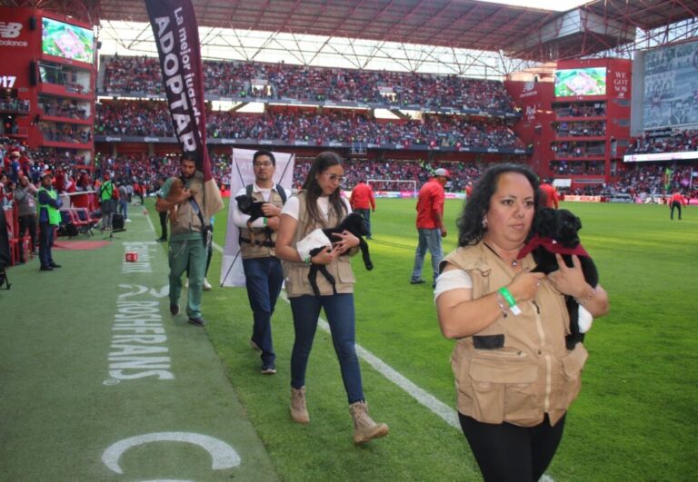 Promoverán cultura de adoptación de mascotas en el EDOMEX