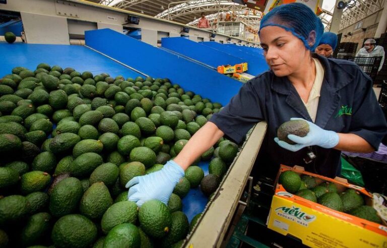 Respalda CNA acciones del Plan México para fortalecer la inversión, el crecimiento y el empleo / Por Alicia Valverde