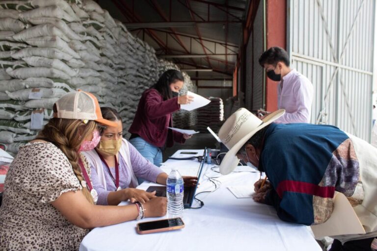 Registra un avance de 49% la entrega de fertilizantes, respecto a la meta: Sader / Por Alicia Valverde