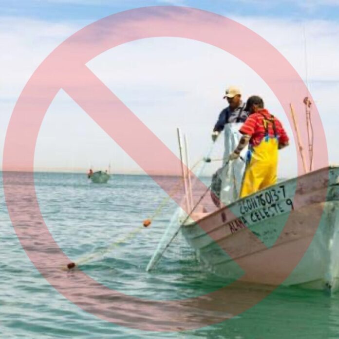 pesca-ilegal-1024x1024-1