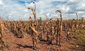 Provocará “El Niño” elevadas temperaturas y sequías severas en México / Por Alicia Valverde