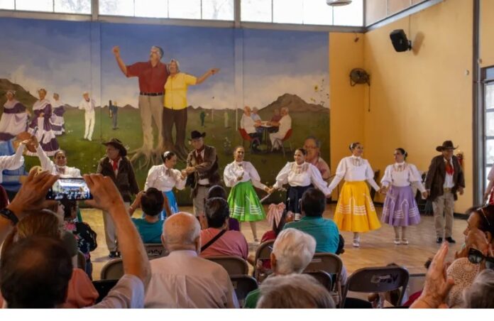chiahuahua-asilos-abulos-a