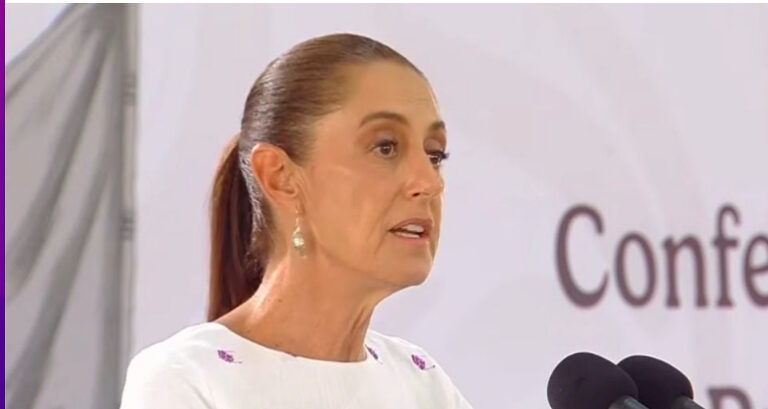No hay planes de desalojo del plantón de la CNTE en el Zócalo: Sheinbuam / Por Diana Domínguez Galván