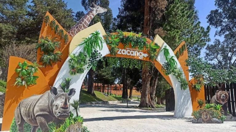 ¡Zoológico de Zacango también abrirá los lunes!